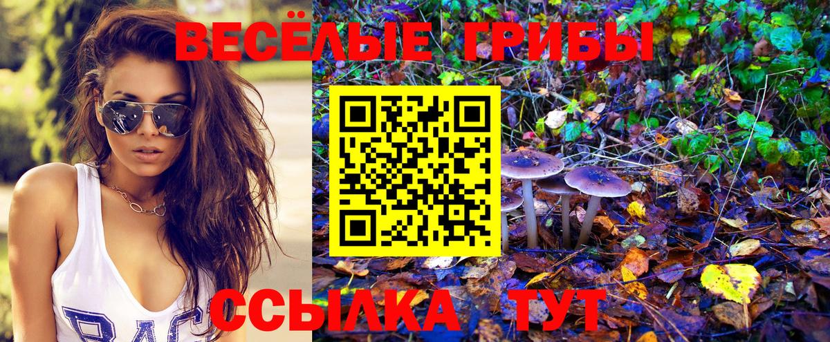 Галлюциногенные грибы прущие грибы  Вход с VPN  Красноперекопск 