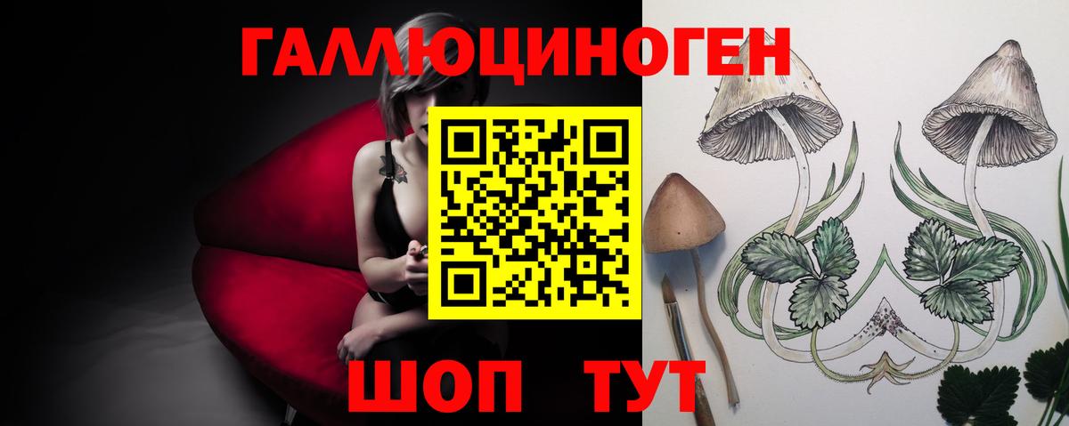 Псилоцибиновые грибы Cubensis Красноперекопск